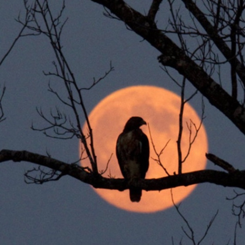 Meet your Posher, Camille